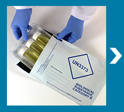 UN3373 Envelope for Stool sample transport