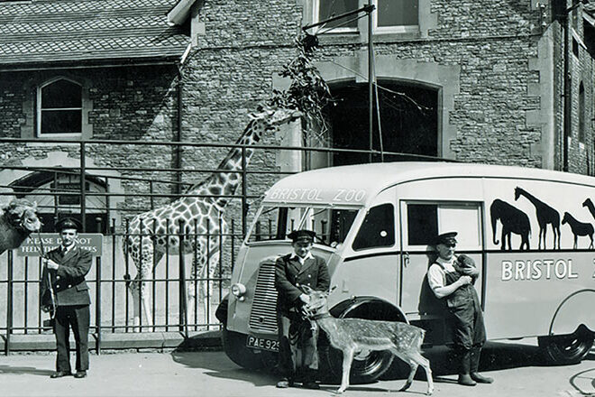 Bristol-Zoo