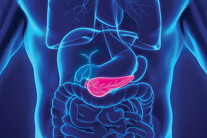 Pancreas