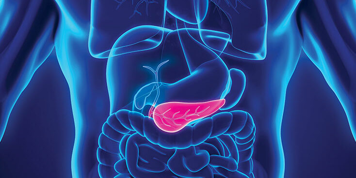 Pancreas